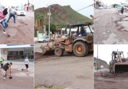 Realiza Ayuntamiento de Guaymas limpieza en vialidades.