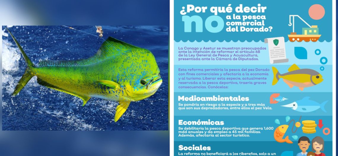 Amenaza a la pesca deportiva propuesta legislativa