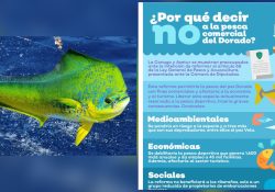 Amenaza a la pesca deportiva propuesta legislativa