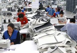 Se reactiva generación de empleos formales; reporte del IMSS