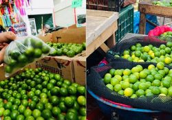 El precio del limón vuelve a las nubes; casi duplica su precio en algunos mercados