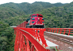Ferromex evalúa la reanudación de rutas de tráfico ferroviario ante crisis migratoria