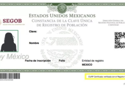 Avala Senado dictamen de Morena para creación de CURP con fotografía