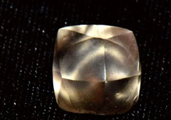 Una niña de 7 años descubre un diamante de 2,95 quilates mientras visitaba un parque estatal