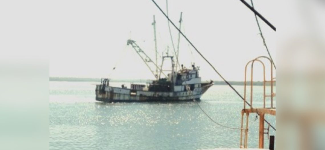Se generaliza la pesca camaronera en el Pacífico mexicano; Conapesca resalta capacitación y concientización en el pescador