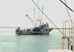 Se generaliza la pesca camaronera en el Pacífico mexicano; Conapesca resalta capacitación y concientización en el pescador