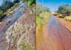 Criminal desperdicio de agua en Boca Abierta; hace 4 meses fugan miles de litros por día
