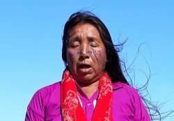 Impulsarán SEC Sonora y Tec de Monterrey preservación de la lengua seri