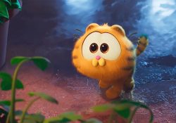 ‘Garfield chiquito’ causa ternura en redes: Se estrena tráiler de la película