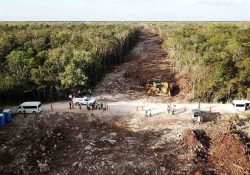 Gobierno de AMLO expropia otros 113 terrenos para construcción del Tren Maya