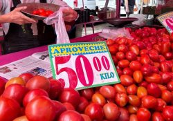Hogares resienten cuesta de enero: verduras disparan su precio por la inflación