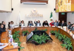 Listos Consejos Distritales y Municipales Electorales para iniciar sesiones el 10 de enero