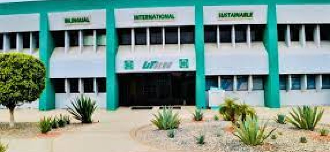 Implementará SEC programa en secundarias de Sonora para fortalecer habilidades en español y matemáticas