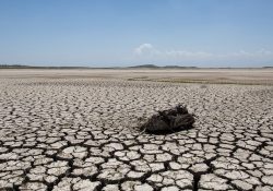 Sequía afecta 76.12% del territorio nacional; frentes fríos, insuficientes