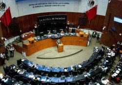 Sólo 3 personas cumplen al 100% en el Senado; 30 pasan lista y se van