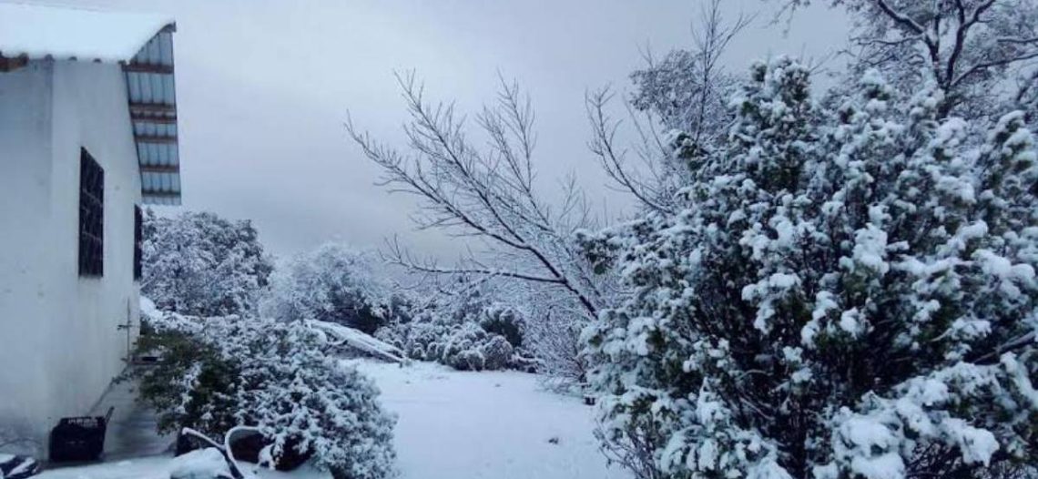Nevadas pintan de blanco la Sierra de Chihuahua en plena primavera