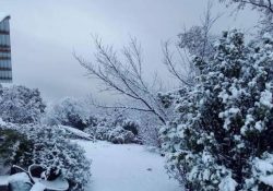 Nevadas pintan de blanco la Sierra de Chihuahua en plena primavera