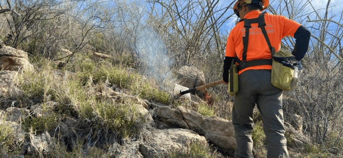Combaten incendio forestal en Trincheras, Sonora; 135 hectáreas resultaron afectadas