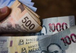 La recaudación de impuestos aumenta 5.5%; se incrementa en enero-abril