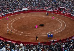 Juez federal vuelve a suspender las corridas de toros en la CDMX