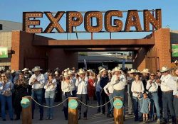 Festividades de ExpoGan y Festival Kino concluyen con gran éxito y saldo blanco