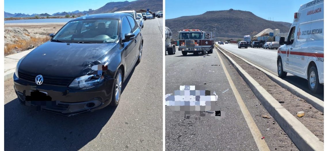 Trágico Accidente en el Puente Douglas: Muere Adulto Mayor
