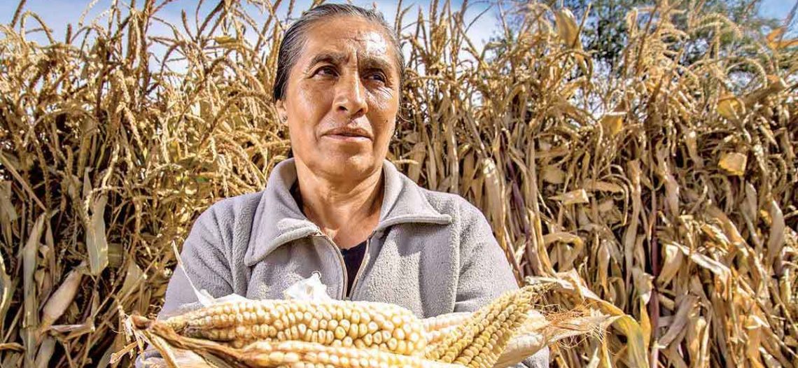 Prenden focos rojos en producción alimentaria; cuestionan datos oficiales
