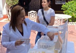 Virtual reelección de Karla Córdova en la alcaldía de Guaymas