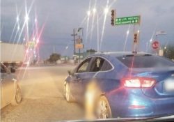 Investiga FGJES probable delito de maltrato o crueldad animal en Navojoa