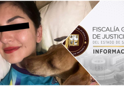 Judicializa FGJES caso de maltrato o crueldad animal difundido en redes sociales en Navojoa