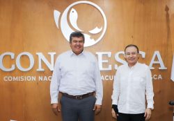 Sonora es primer lugar en producción pesquera: Conapesca