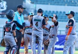 Naranjeros cayó luchando en la final del Torneo Infantil de la LAMP