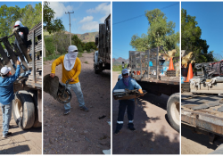 Recolecta Ayuntamiento de Guaymas 3.4 toneladas de cacharros.
