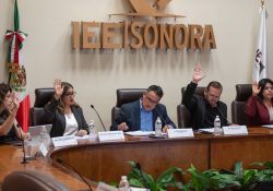 Aprueba IEE designación de regiduría étnica Yoreme – Mayo para Navojoa