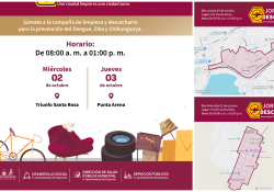 Promueve Ayuntamiento de Guaymas Jornada de Descacharre en Triunfo Santa Rosa y colonia Punta Arena
