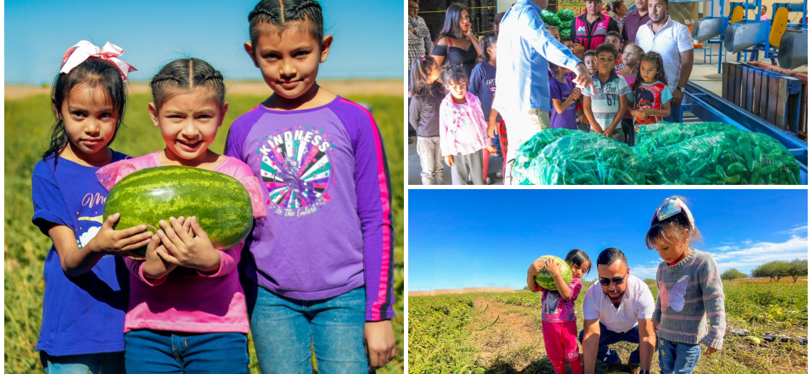 Realiza DIF Guaymas visita educativa al campo agrícola Guadalupe