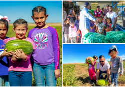 Realiza DIF Guaymas visita educativa al campo agrícola Guadalupe