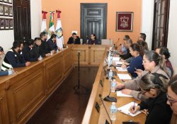 Se reúne doctora Karla Córdova González con representantes de la CFE.