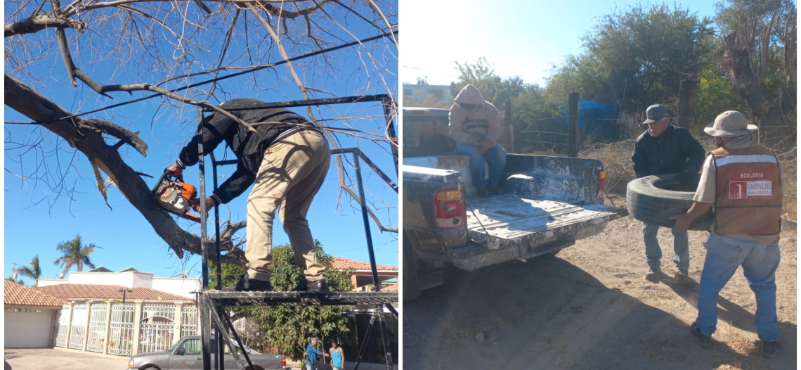Quieren recuperar la Ciudad Jardín; Ecología Municipal atiende peticiones ciudadanas