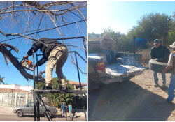 Quieren recuperar la Ciudad Jardín; Ecología Municipal atiende peticiones ciudadanas