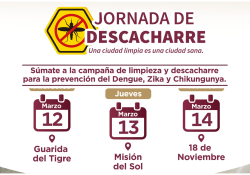Tendrá Ayuntamiento de Guaymas Jornada de Descacharre del 12 al 14 de marzo