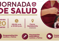 Programan Jornada de Salud en sector Cerro Gandareño