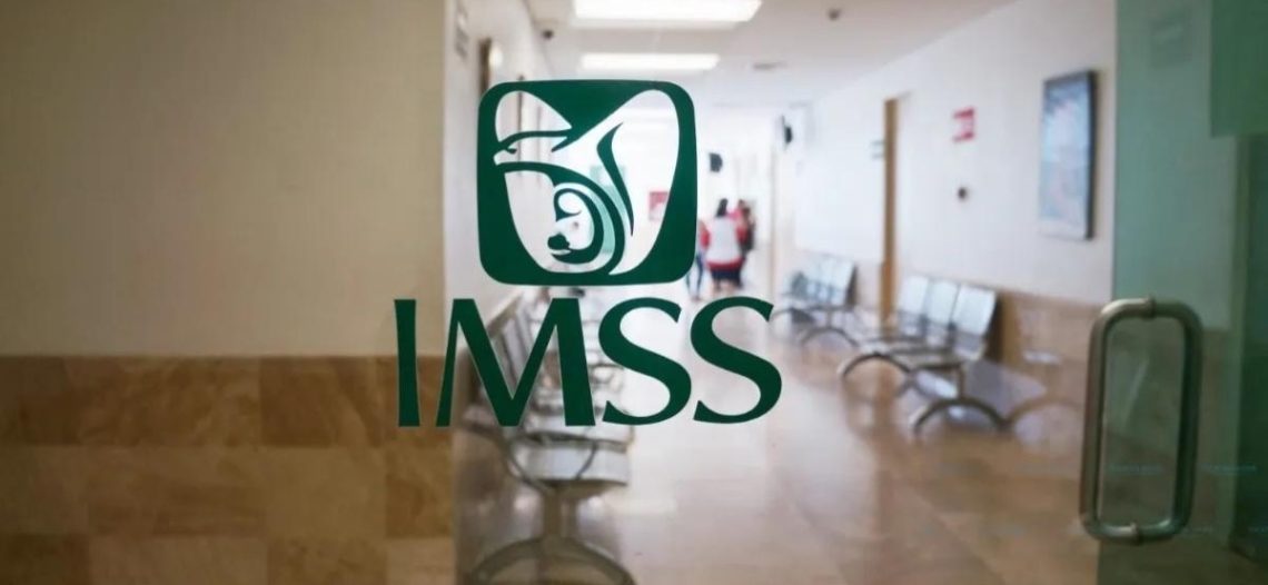 IMSS pública lista de contratos por servicios u obras especializados