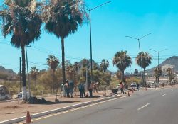 Conservan la forestación; el Ayuntamiento mejora la imagen en camellones y se suma la Semar