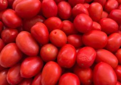 EU impondrá aranceles del 17 por ciento a tomate mexicano