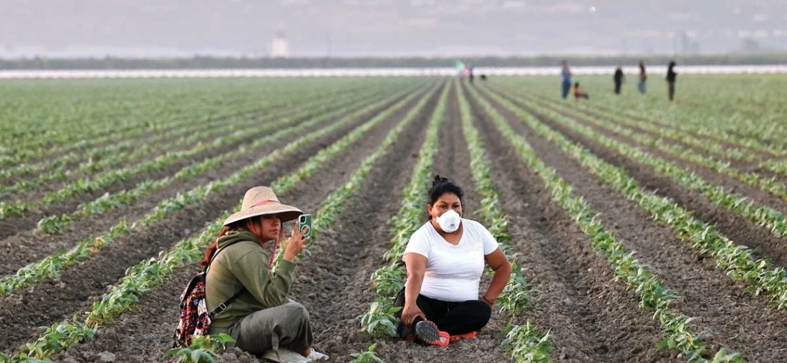 ‘Hagamos que nos valoren’: Inician campesinos su huelga de 72 horas en EU