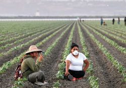 ‘Hagamos que nos valoren’: Inician campesinos su huelga de 72 horas en EU
