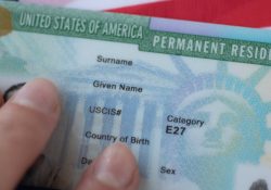 Migrantes legales buscan naturalizarse por temor a perder su «Green Card»
