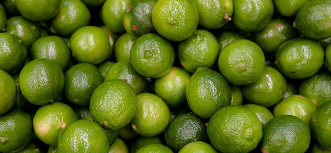 Productores piden ayuda al gobierno por desplome en precio del limón