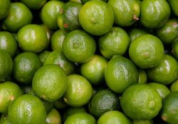 Productores piden ayuda al gobierno por desplome en precio del limón